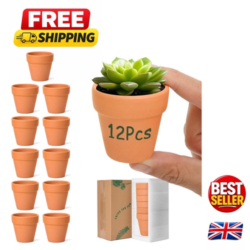 Stylish mini terracotta - terracotta, pots