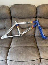 Raleigh Team Custom Frame And