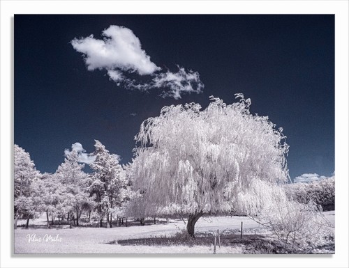 Converted infrared 720nm - converted, ir
