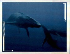 Jurassic World Dominion - A