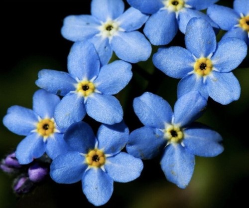 Forget not blue cloud - me, ‘blue