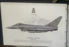 Squadron print 1335 typhoon - print,