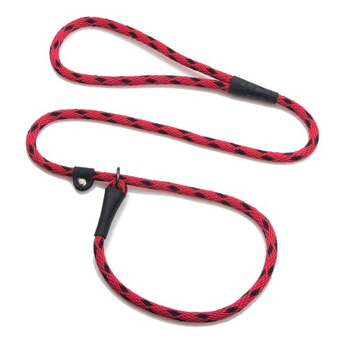 Mendota dog puppy - , leash