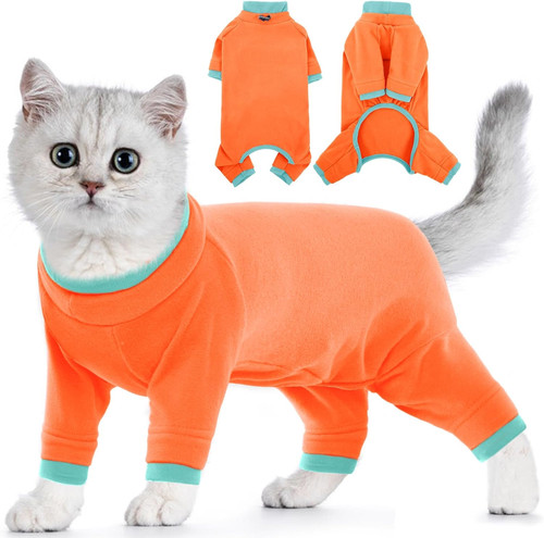 Sphynx cat jumper - sphynx, grooming