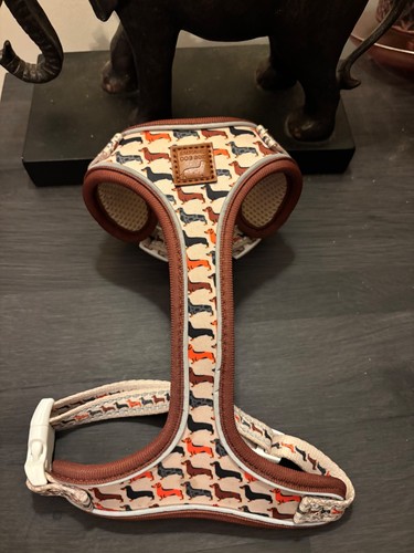 Sausage dog box - dog, harness