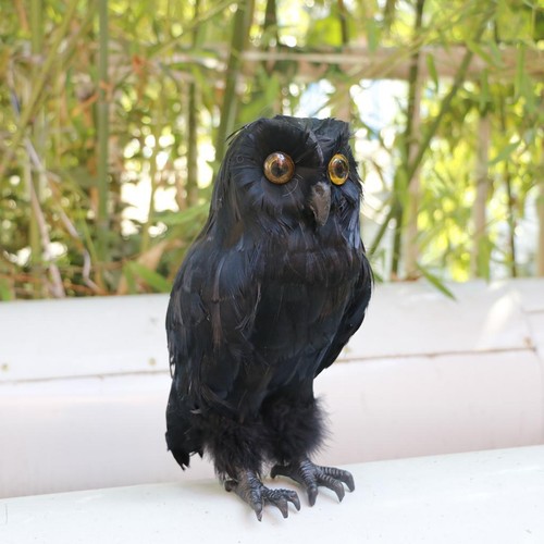 Artificial owl bird taxidermy - artificial,