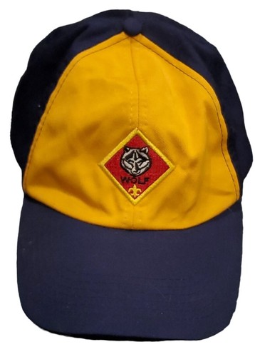 Boy cub scout - boy,