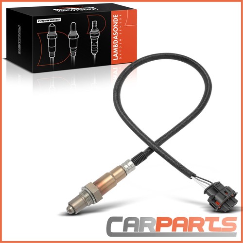 Lambda sensor control probe - lambda,