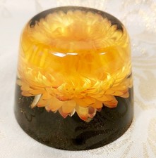 Vintage Lucite Paperweight