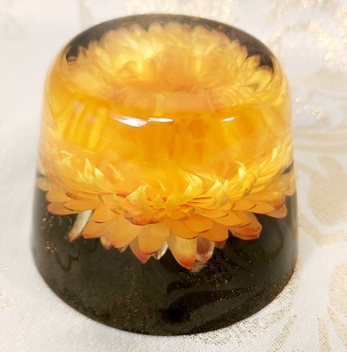 Vintage lucite paperweight - vintage,