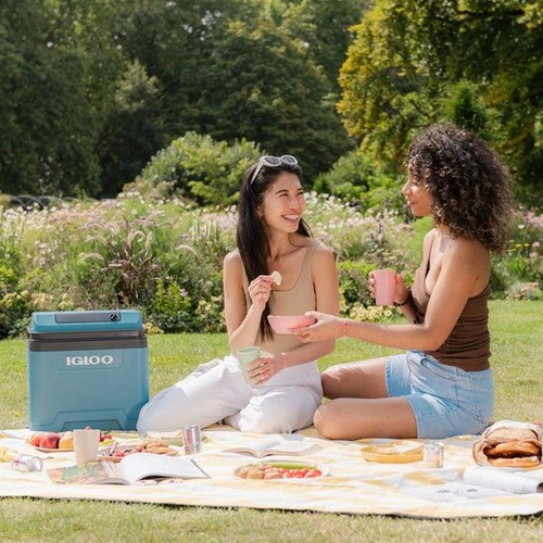 Igloo ie24 cool box 12v - box, dc