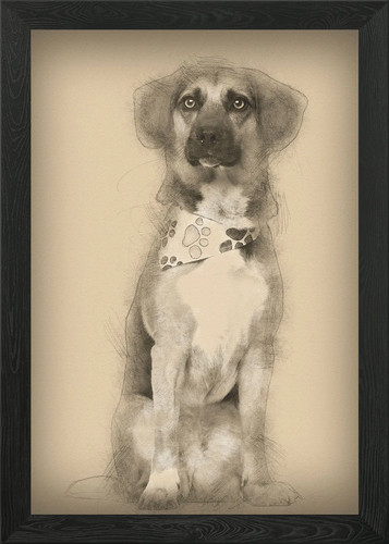 Dog cross breed with - a, bea