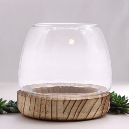 Glass dome cloche - cloche, jar