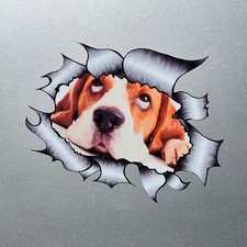 Cute Basset Hound Puppy Dog