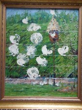 White fantail pigeons doves - white,