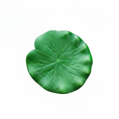 Floating lotus pad - lotus,