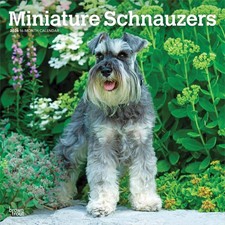 Miniature Schnauzers Calendar