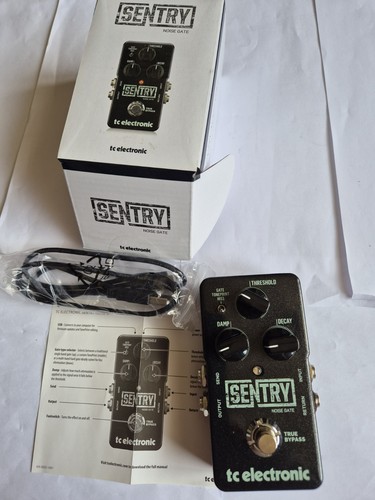 Electronic sentry noise - sentry,