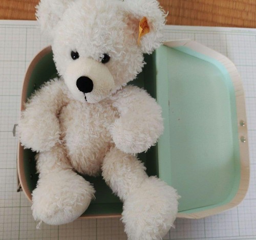 Steiff teddy bear lotte 111563 - bear,