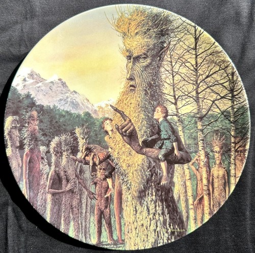 Lord the rings collectors - rings,