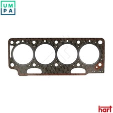 GASKET CYLINDER HEAD 717 686