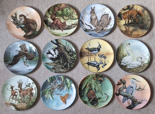 Wedgwood wall plates set - set, x12