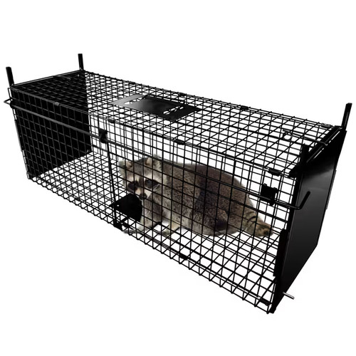 Thealyn animal cage trap x - 80,
