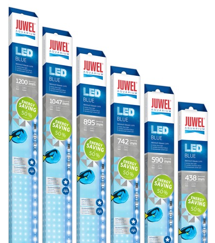 Juwel led blue bulbs - blue,