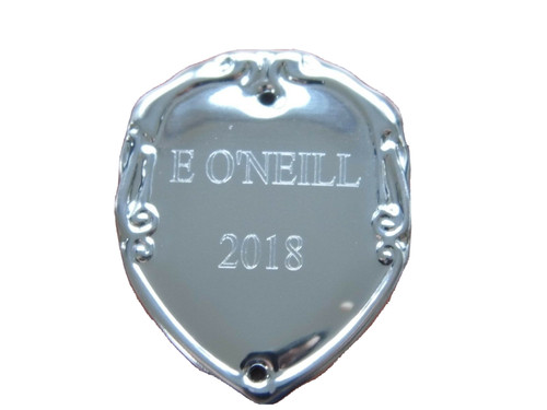 Trophy side shield - trophy, side-shield