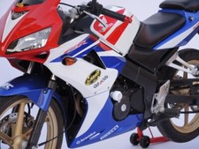 Honda CBR 125R 2004-2010 RD