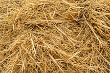 Natural wheat straw - natural,