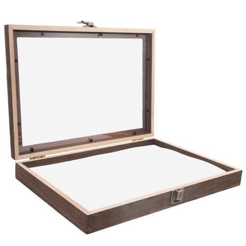 Specimen display box - box, insect