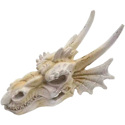 Dragon skull aquarium decor - dragon,