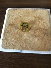 WREXHAM FOOTBALL CLUB BADGE