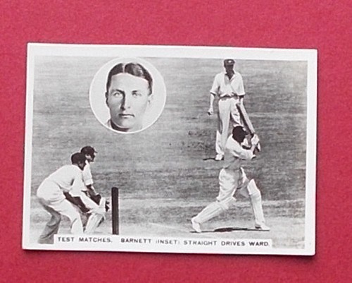 Cricket ardath - -,
