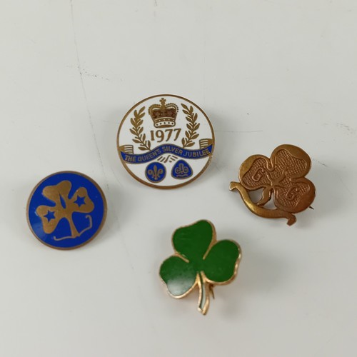 Vintage girl guide metal - girl,
