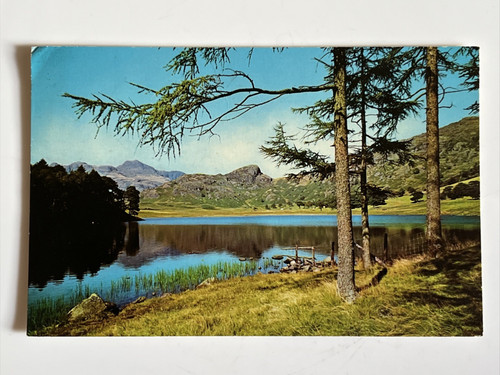 Langdales vintage colour - langdales-vintage,