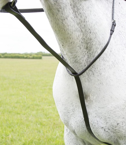 Shires blenheim standing - blenheim,