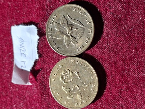 Canadian souviner medals - souviner,