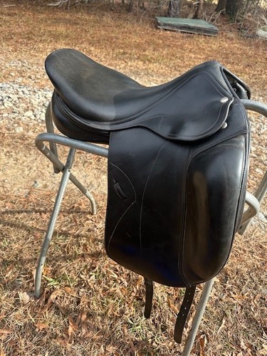 Amerigo italian dressage - amerigo,