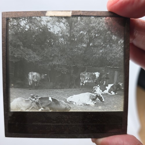 Glass magic lantern - magic, slide