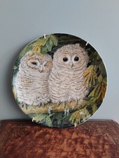 Baby Owls Decorative Collector