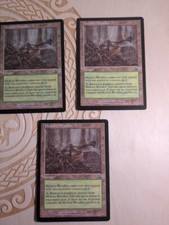 MTG - Hickory Woodlot x 1 -