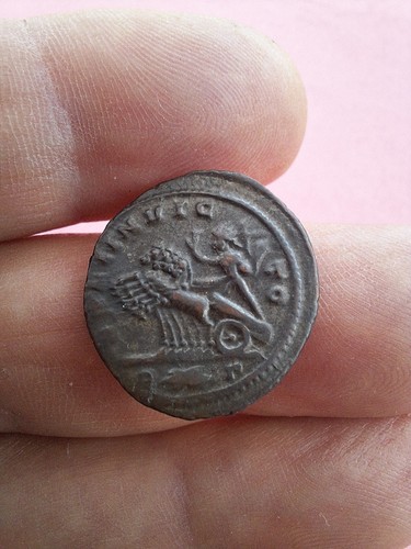 Super grade probus quadriga - probus,