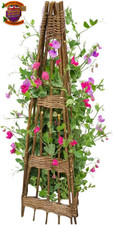 Willow obelisk plant support - willow,