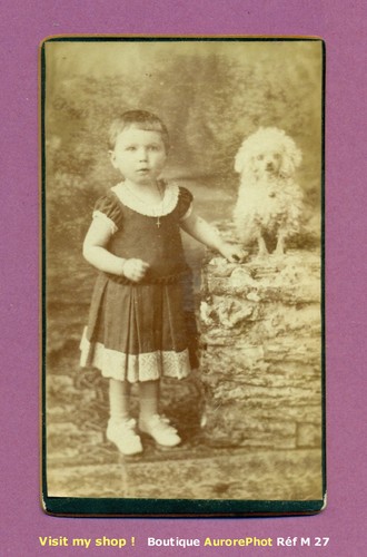 Cdv girl posing with her - cdv,