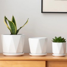 Octagon Ceramic Plant Pots -