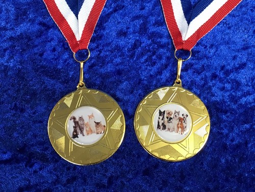 Medal cat dog competition - competition, show