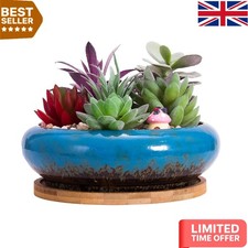 Shallow 18.5CM Ceramic Pot for