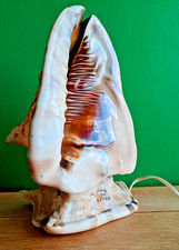 Fabulous Vintage 1970s Large Conch Shell Lamp - From The Seychelles - Signed